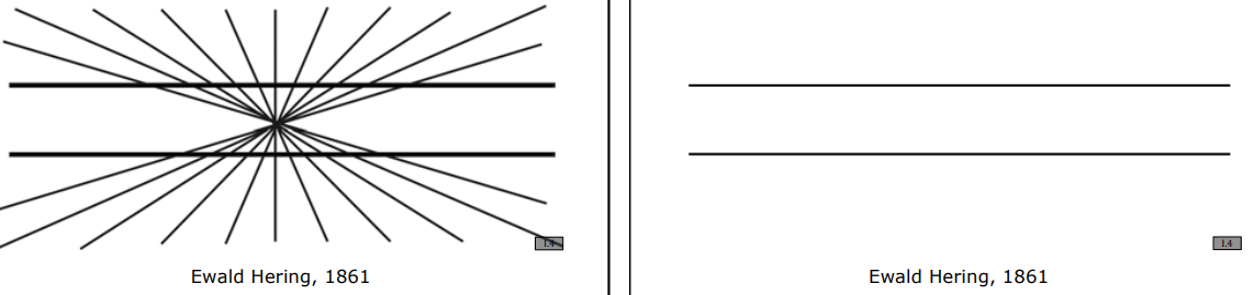 Ewald Hering Illusion Parallel Lines Intersecting Rays