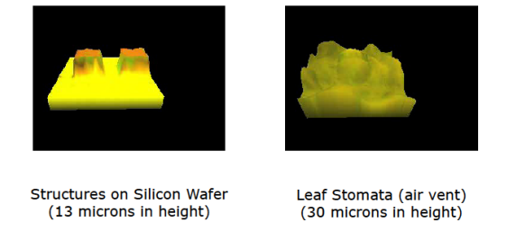 DFF Microscopy Applications