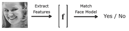 Feature Extraction and Binary Classification on Candidate Patch
