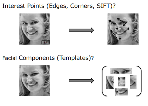 Limitations of Interest Points and Component Templates for Face Detection