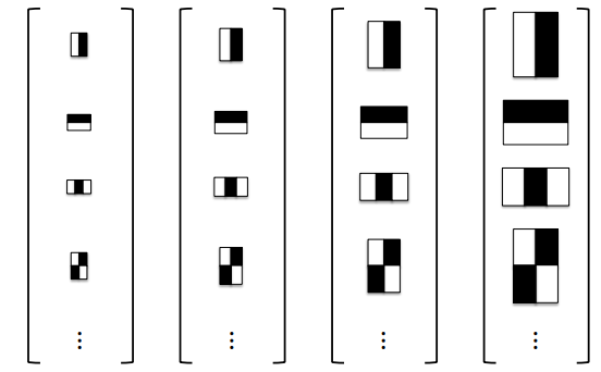Multi-Scale Haar Filter Bank Arrangement