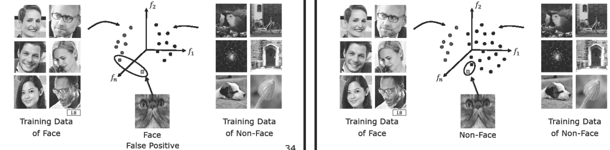 False Positive Cat Face Misclassification and Dataset Expansion Solution