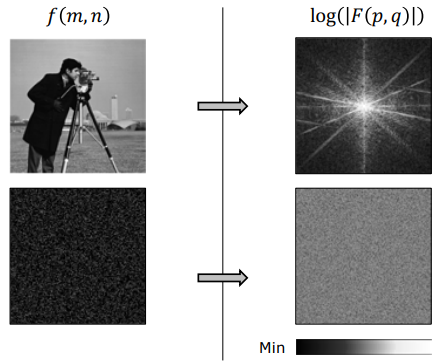 Cameraman and Random Noise Spectrum
