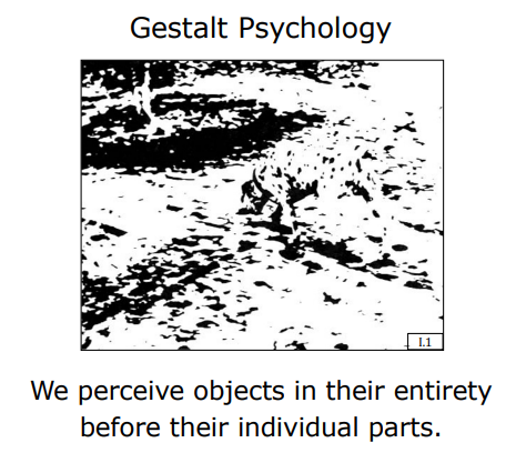 Gestalt Psychology - Holistic Perception