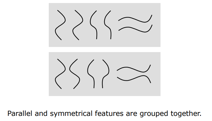 Gestalt Symmetry Principle