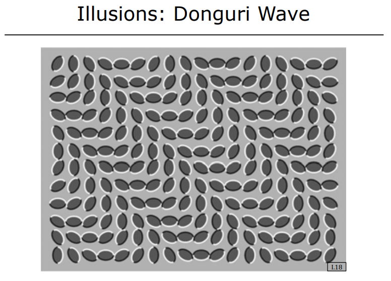 Leaf illusion — static leaves appearing to move due to involuntary eye movements