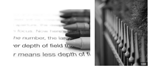 Depth of Field Example