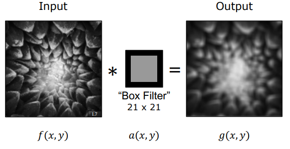 21x21 Box Filter Blocky Artifacts