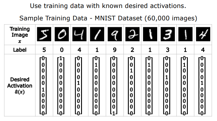 MNIST Training Data with Desired Activations