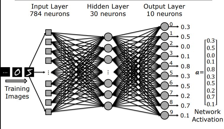 Untrained Network Activations for Sample Input