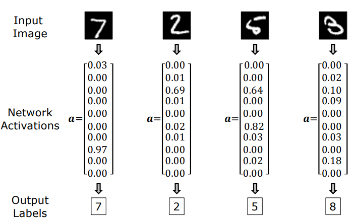 MNIST Test Digit Predictions