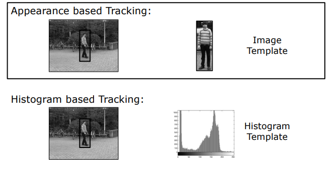 Appearance-Based and Histogram-Based Template Representations