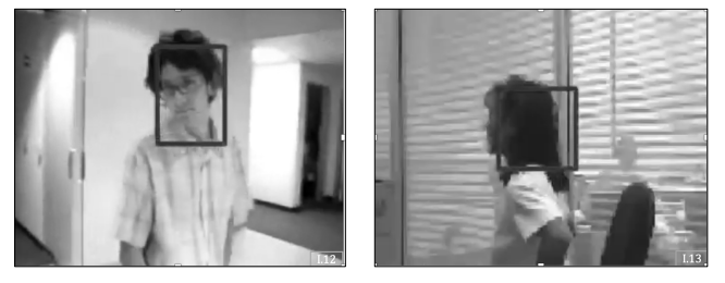 Robust Tracking Under Lighting Variation and 3D Head Turning