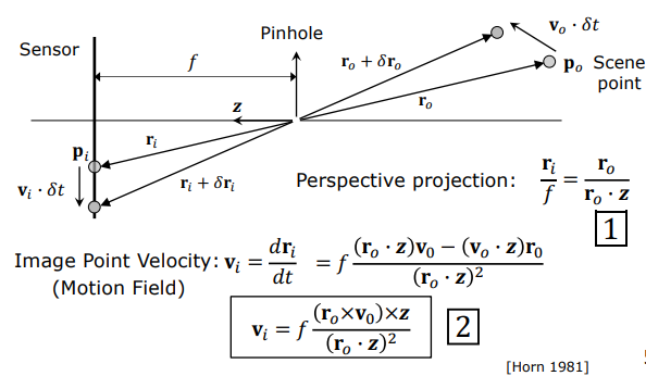 Motion Field Geometry and Perspective Projection