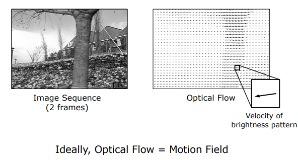 Image Sequence and Optical Flow
