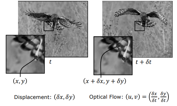 Optical Flow Pixel Displacement