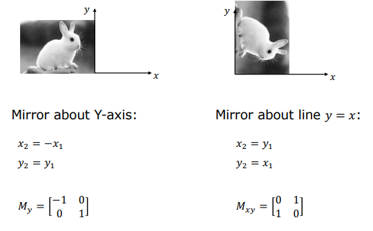 Mirror Reflection Transformations