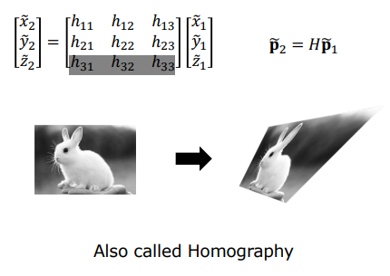 Homography Projective Transformation Matrix