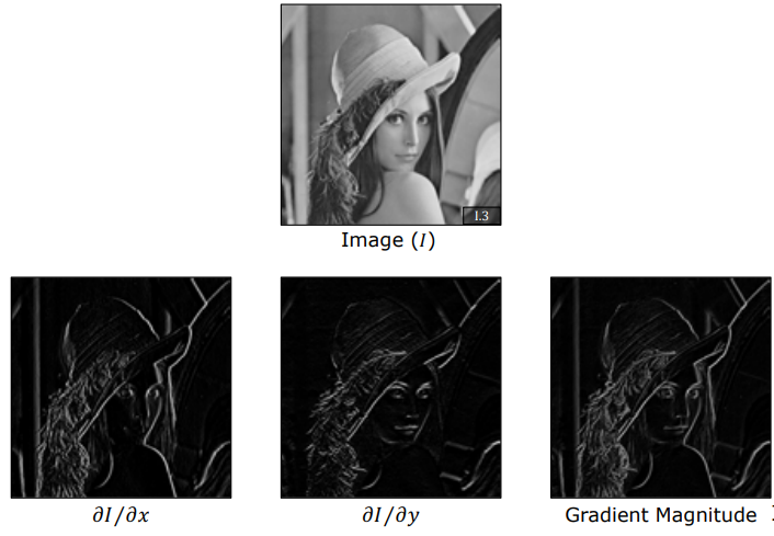 Lena Image Partial Derivatives and Gradient Magnitude