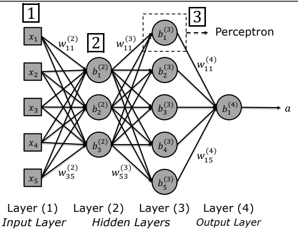 Multilayer Neural Network Architecture