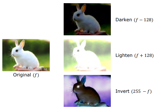 Darken, Lighten, and Invert Transformation Examples