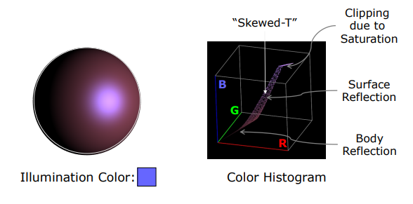 Skewed-T color distribution in RGB color histogram