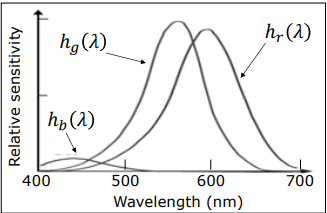Human Tristimulus Sensitivity Curves