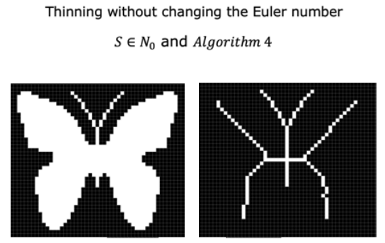 Butterfly Skeleton Thinning