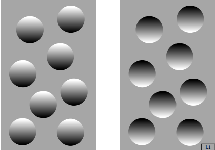 Light from Above Bias Perception