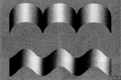 Role of Boundary Geometry in Shape Perception