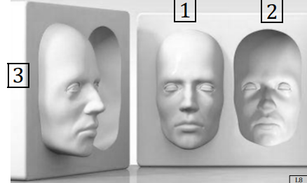 Hollow-Mask Illusion
