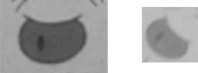 Comparison of Zoomed-in Pixel Patches
