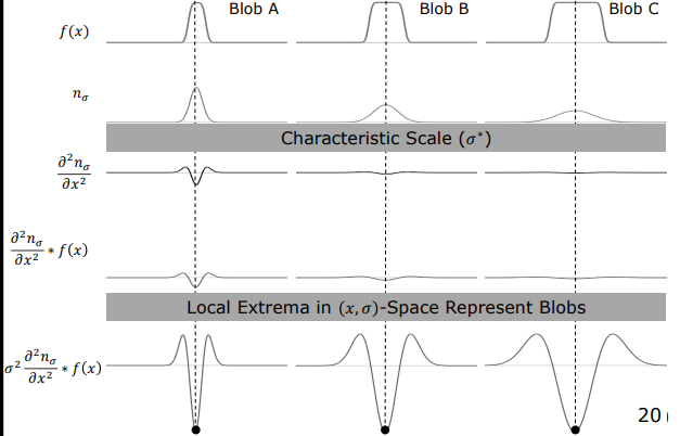 Characteristic Scale and Local Extrema