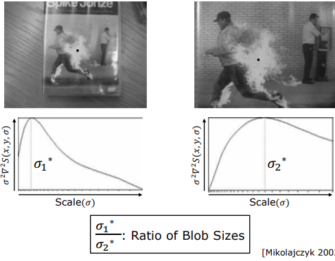 Ratio of Blob Sizes via Characteristic Scale
