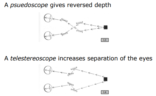 Pseudoscope and Telestereoscope Configurations
