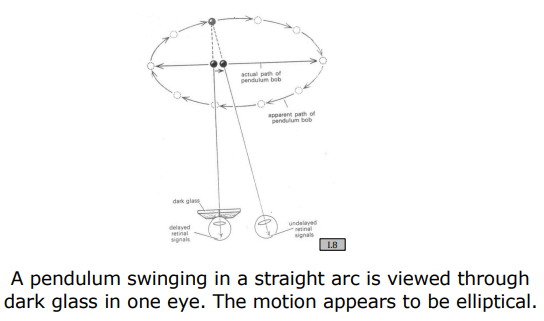 Pulfrich Pendulum Effect Diagram